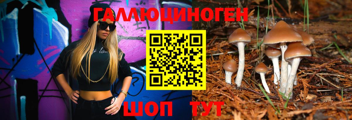 Псилоцибиновые грибы мицелий  Вход с VPN  Евпатория 